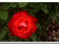 2016-05-28_24