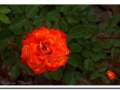 2016-05-28_25