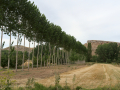 Adrada de Haza