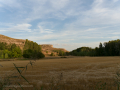 P9044575