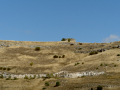 P9104920