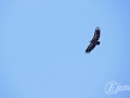 2014-07-31 12h58m59.jpg