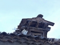 2014-08-02 19h57m56.jpg