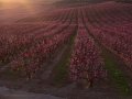 Salida con Foto Club Sabadell