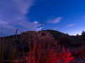 Bosc de les Creus