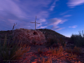 Bosc de les Creus