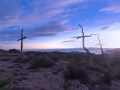 Bosc de les Creus
