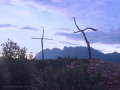Bosc de les Creus