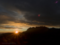Bosc de les Creus