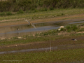 Delta del Llobregat
