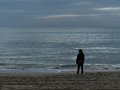 Barceloneta