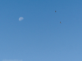 Buitres