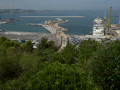 Ancona