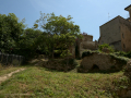 Ancona