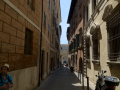 Ancona