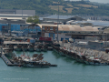 Ancona