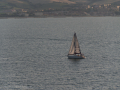 Ancona