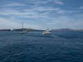 San Tonini