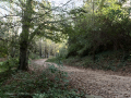 Torrent dels Alous