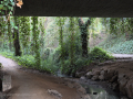 Torrent dels Alous