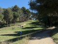 Can Sant Joan