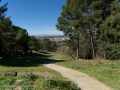 Can Sant Joan