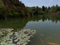 Torrent dels Alous