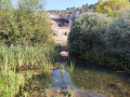 Canon-de-Rio-Lobos-04