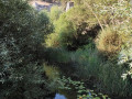 Canon-de-Rio-Lobos-06