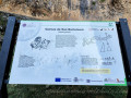Canon-de-Rio-Lobos-09