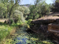 Canon-de-Rio-Lobos-30