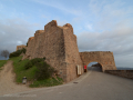 Castell de Cardona