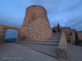 Castell de Cardona