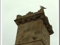 20131130_Castell de Montjuic-18.jpg
