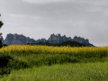 Ruta por Castellbell i el Vilar
