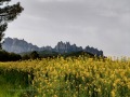 Ruta por Castellbell i el Vilar