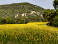 Ruta por Castellbell i el Vilar