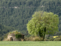 Ruta por Castellbell i el Vilar