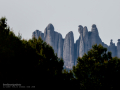 Ruta por Castellbell i el Vilar