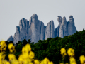 Ruta por Castellbell i el Vilar