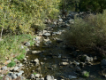 Castellfollit de la Roca y Besalú
