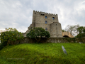 Castillo de Castrodouro, Alfoz