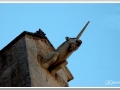 20130902-Ciutadella_20.jpg