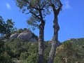 2015-05-09 09h22m58.jpg
