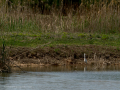 Delta del Llobregat