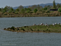 Delta del Llobregat