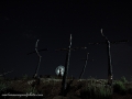 El Bosc de les creus 2017
