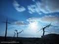 El Bosc de les creus 2017