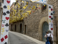 Enramades de Sallent