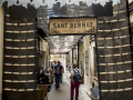 Enramades de Sallent